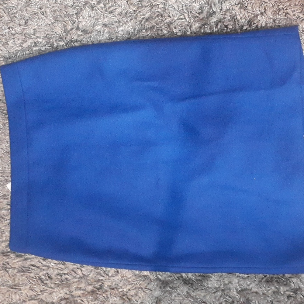 Blue J Crew Skirt